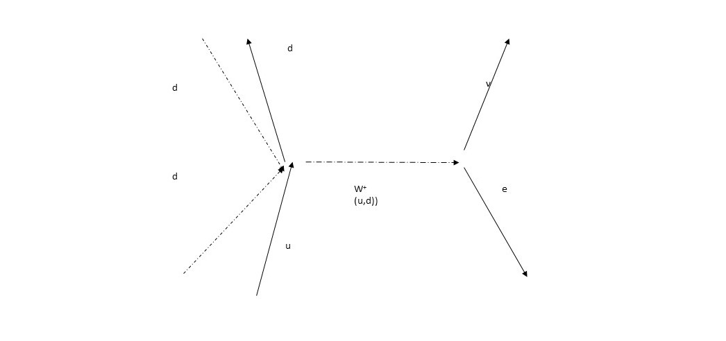 Feynmann diagram