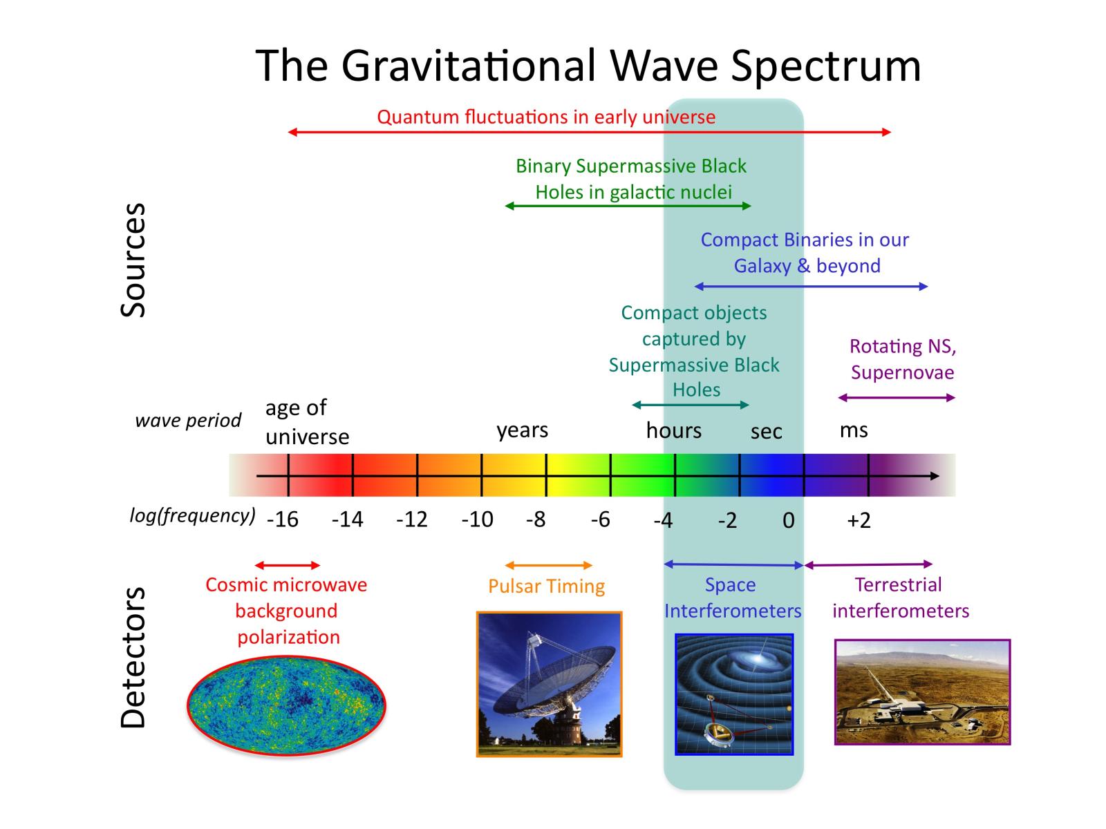 Gravitatiegolf spectrum